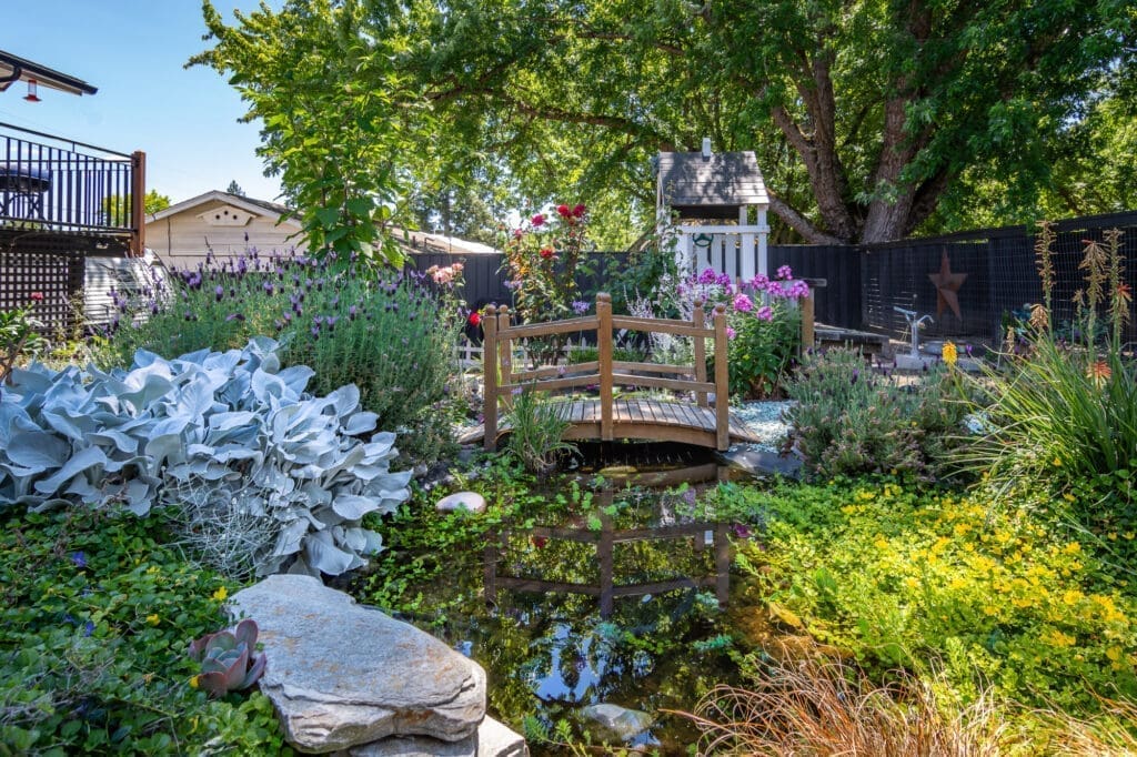 Garden and Pond with a bridge