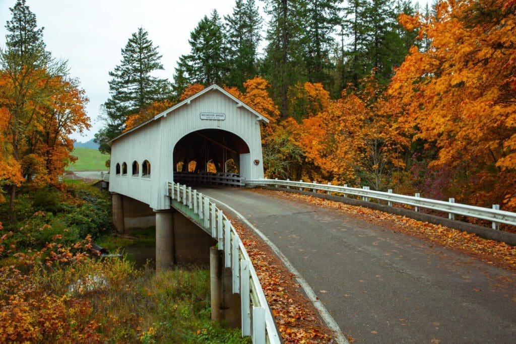 covered bridge in fall